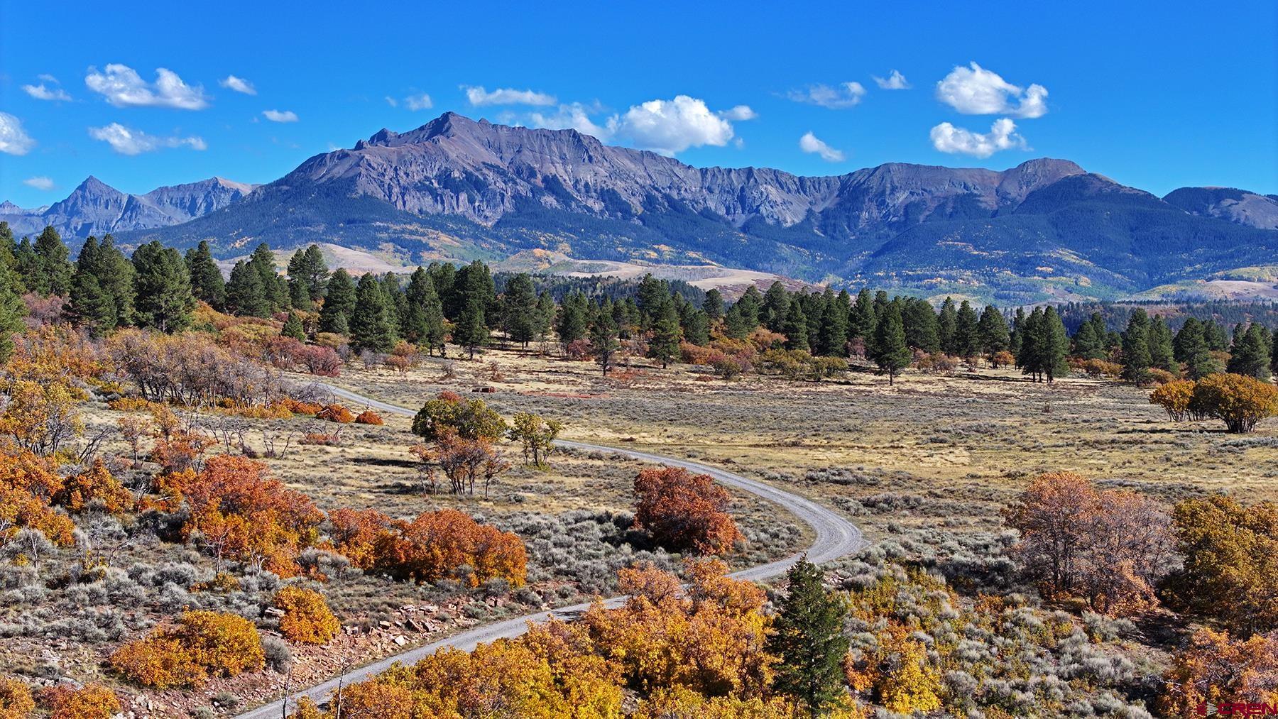 1250 McKenzie Springs Road Placerville, CO 81430 - Photo 20 of 45 a view of a backyard with a swimming pool