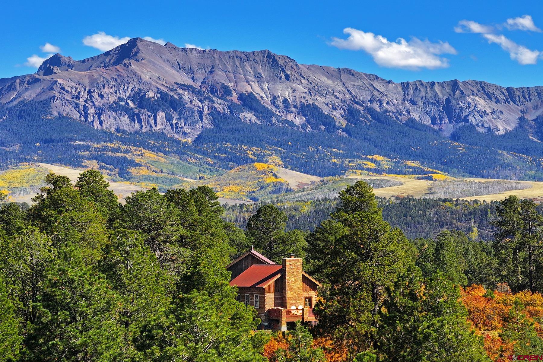 1250 McKenzie Springs Road Placerville, CO 81430 - Photo 22 of 45 a view of a yard with a tree