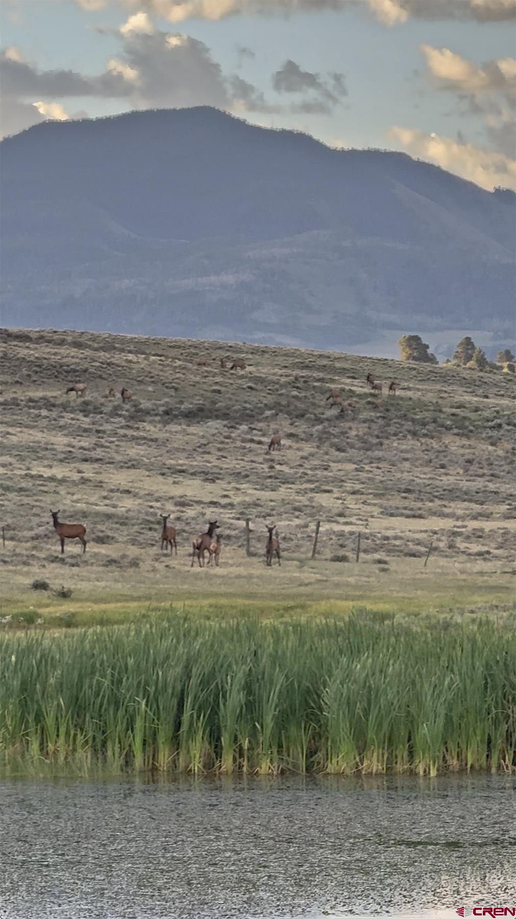 1250 McKenzie Springs Road Placerville, CO 81430 - Photo 25 of 45 a view of ocean view with beach