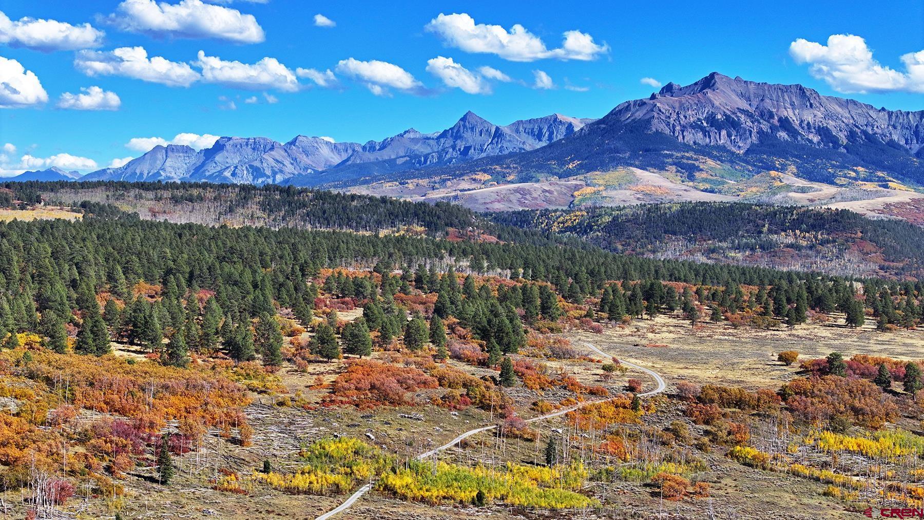 1250 McKenzie Springs Road Placerville, CO 81430 - Photo 4 of 45 a view of a lake with a mountain
