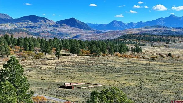 a view of a backyard with a large tree