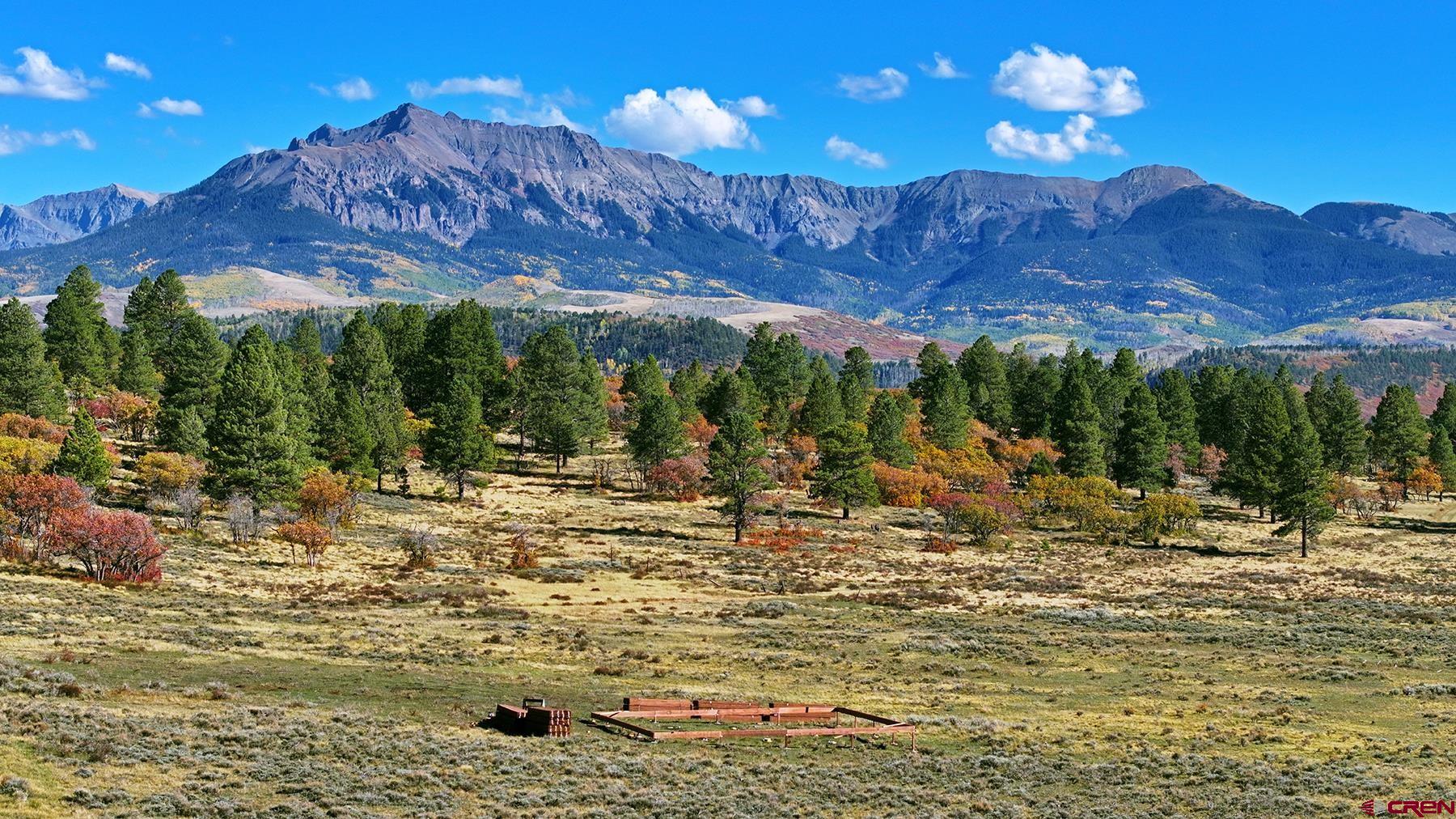 1250 McKenzie Springs Road Placerville, CO 81430 - Photo 42 of 45 a view of a backyard with a large tree