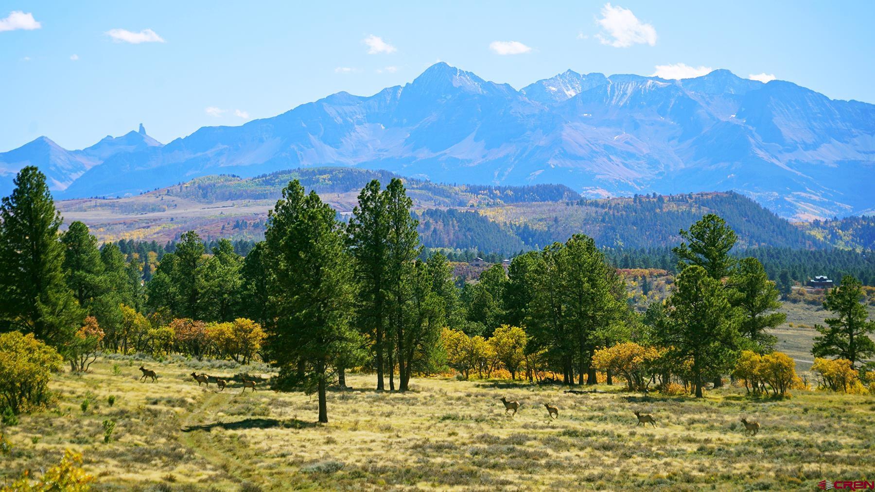 1250 McKenzie Springs Road Placerville, CO 81430 - Photo 7 of 45 a view of a yard with a house