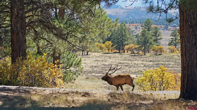 a view of a lake with a yard