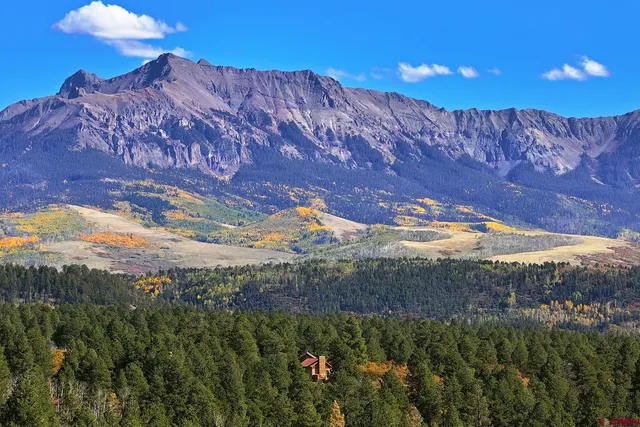 a view of a backyard with a garden