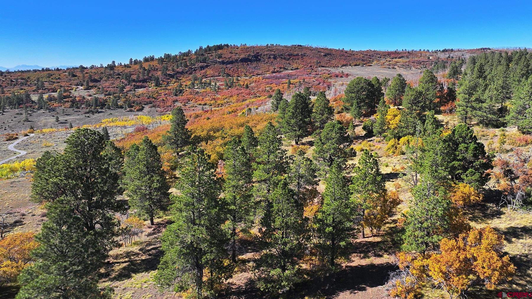 1250 McKenzie Springs Road Placerville, CO 81430 - Photo 10 of 45 a view of city and mountain