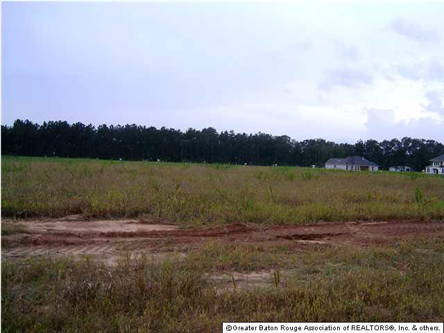 Lot 38 Lavender Drive Baton Rouge, LA 70818 - Photo 3 of 4 Gallery Image 3