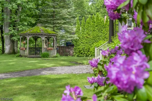 a view of a house with a big yard and potted plants