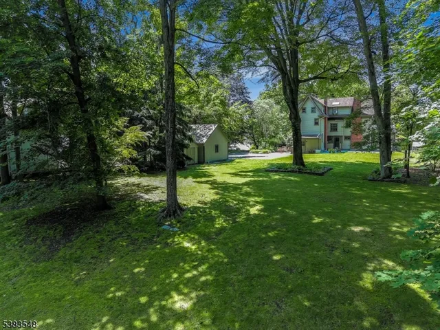 a view of a tree in a yard