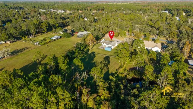 a view of a tree with a tree