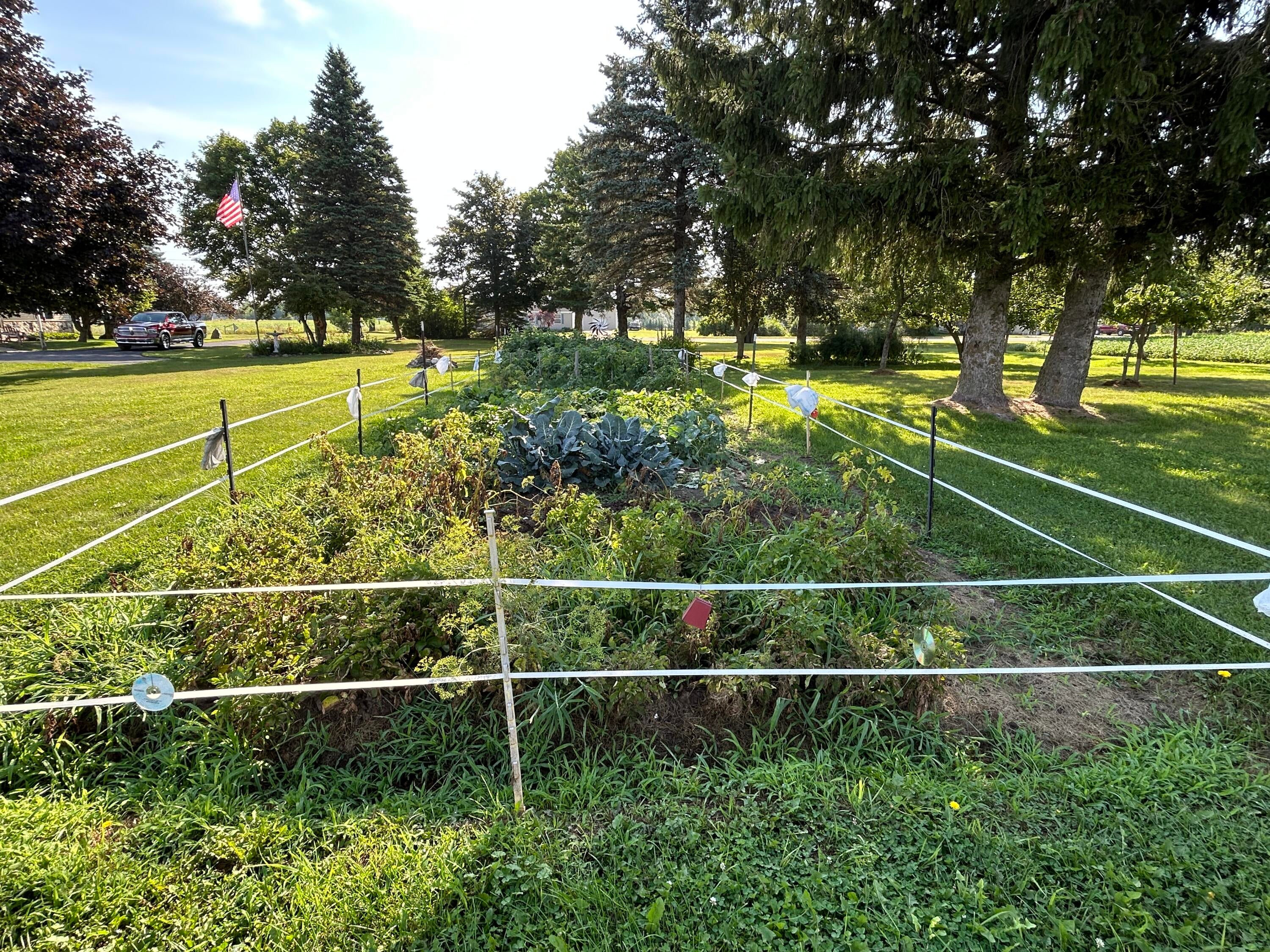 9634 Indian Reserve Road Alpena, MI 49707 - Photo 5 of 38 Lots of Room to Garden
