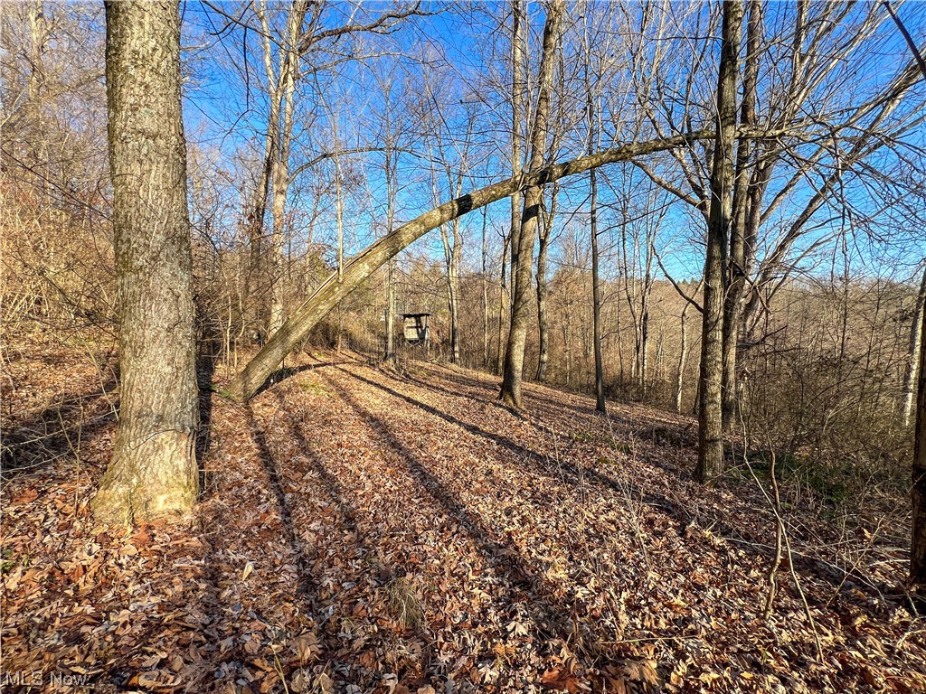 Edgington Road Danville, OH 43014 - Photo 13 of 26 View of mother earth's splendor