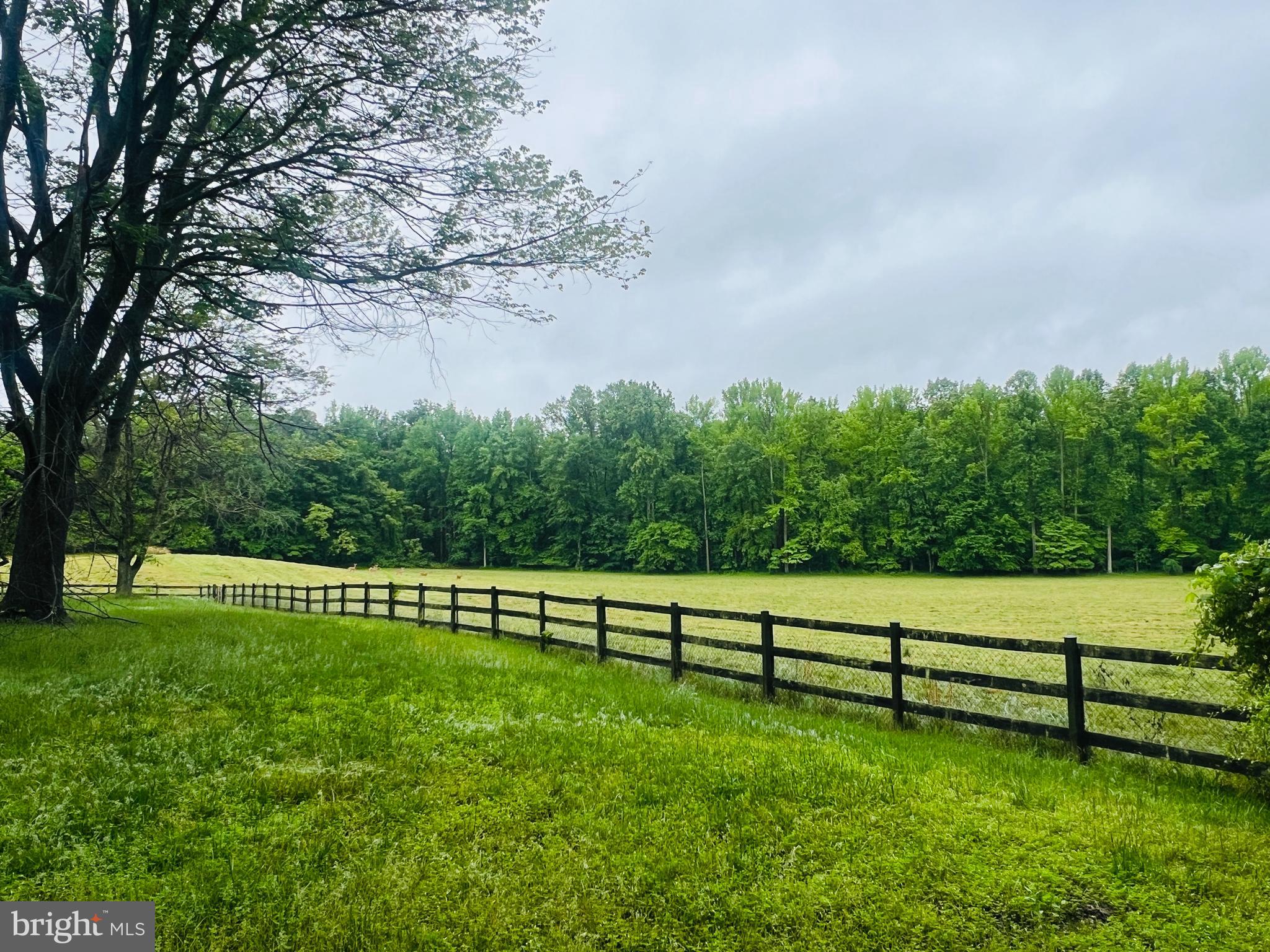 3629 Riva Road Davidsonville, MD 21035 - Photo 3 of 39 Gorgeous Pasture!