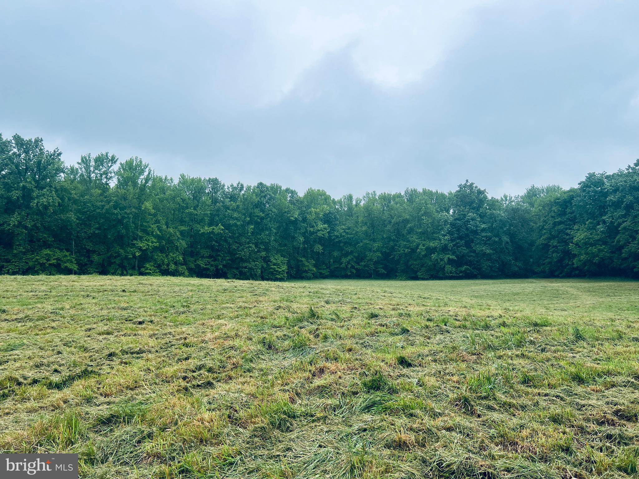3629 Riva Road Davidsonville, MD 21035 - Photo 31 of 39 Gorgeous Pasture