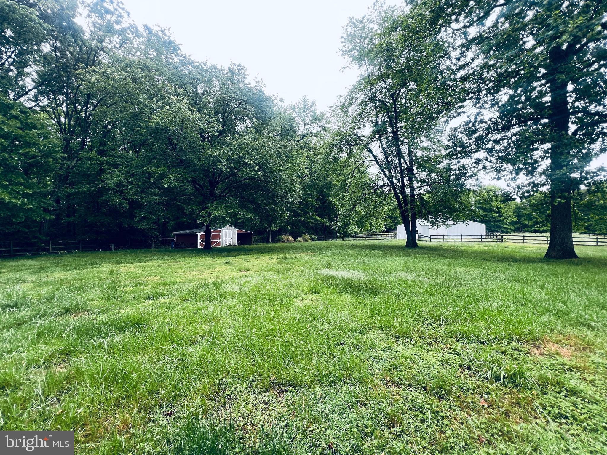 3629 Riva Road Davidsonville, MD 21035 - Photo 6 of 39 View from house towards shed & barn.
