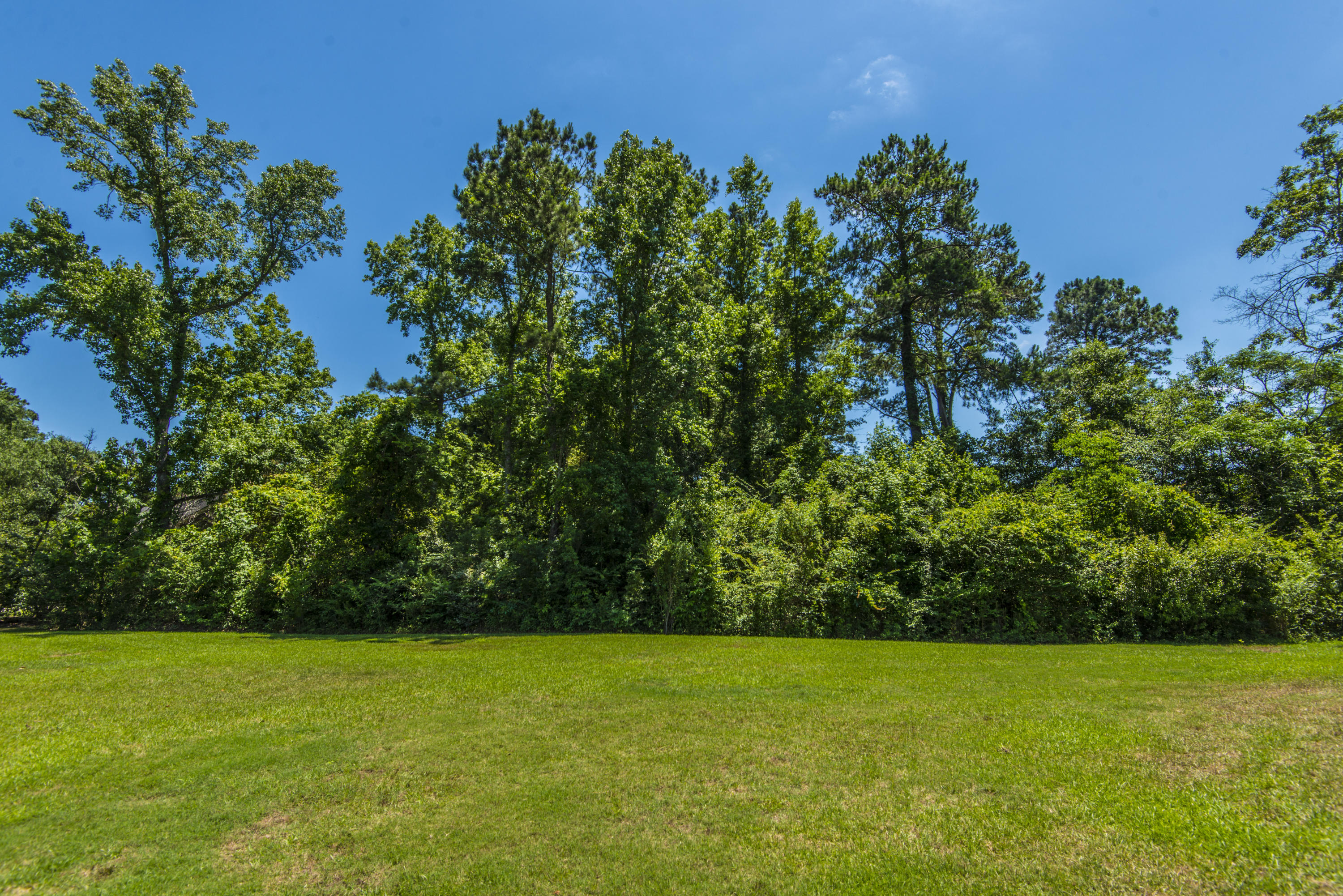 1021 Harbortowne Road Charleston, SC 29412 - Photo 49 of 58 1/2 acre area maintained by the HOA
