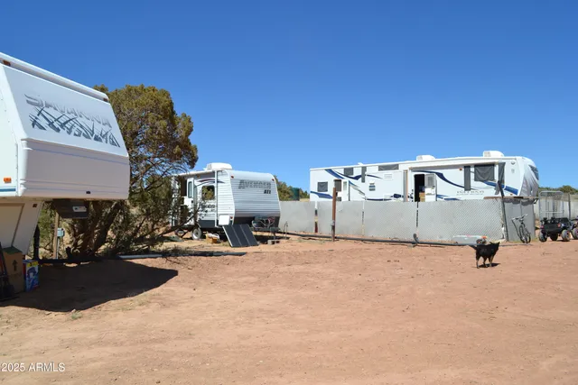 a view of a dry yard