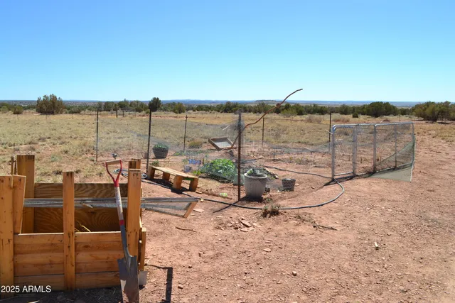 a view of a dry yard with a house