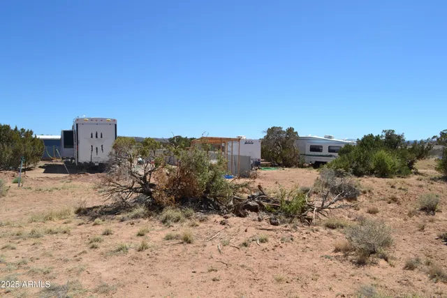 a view of a dry yard with trees in the background