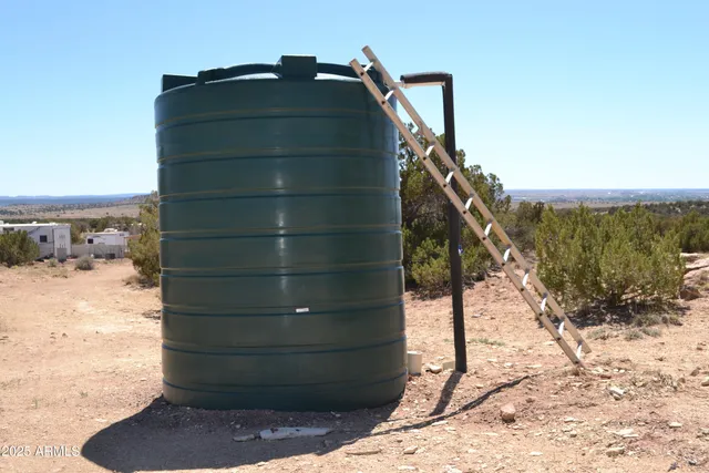 a view of a dry yard