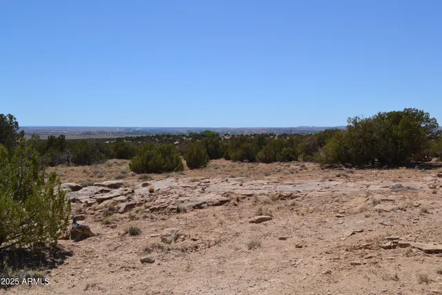 a view of a dry yard