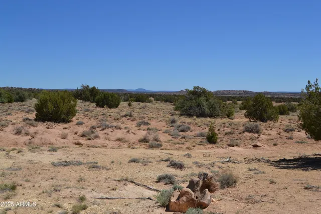 a view of a dry yard with wooden fence