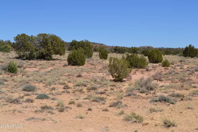 a view of a terrace with chairs