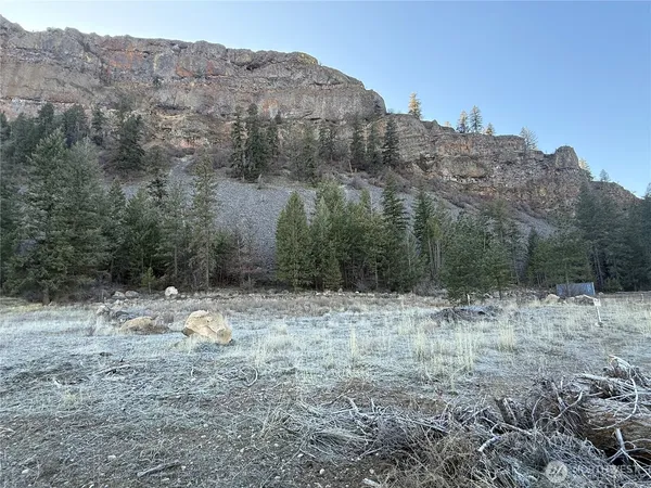 a view of a dry yard with trees in the background