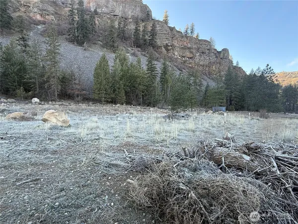 a view of a dry yard with trees