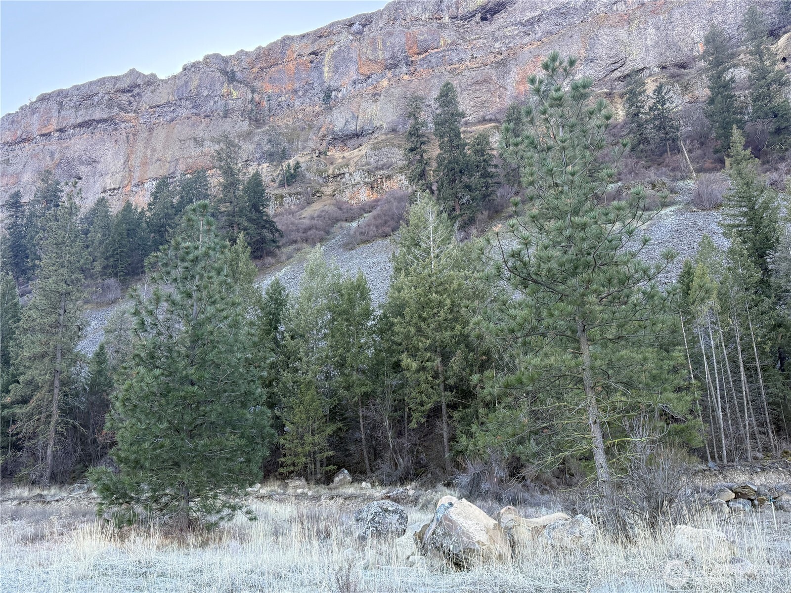 99147 Sterling Valley Road North Lincoln, WA 99147 - Photo 5 of 8