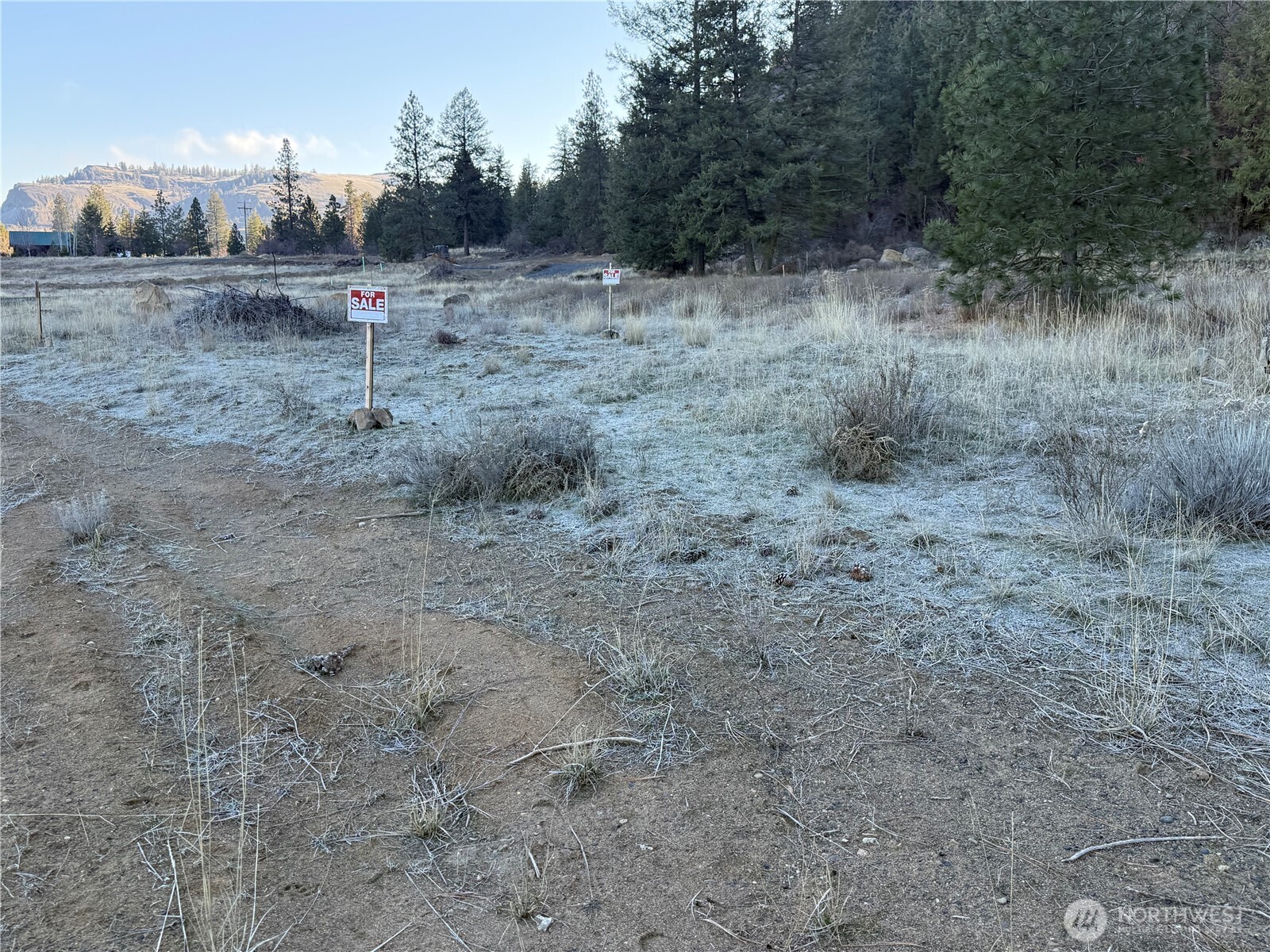 99147 Sterling Valley Road North Lincoln, WA 99147 - Photo 6 of 8