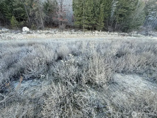 a view of a dry yard
