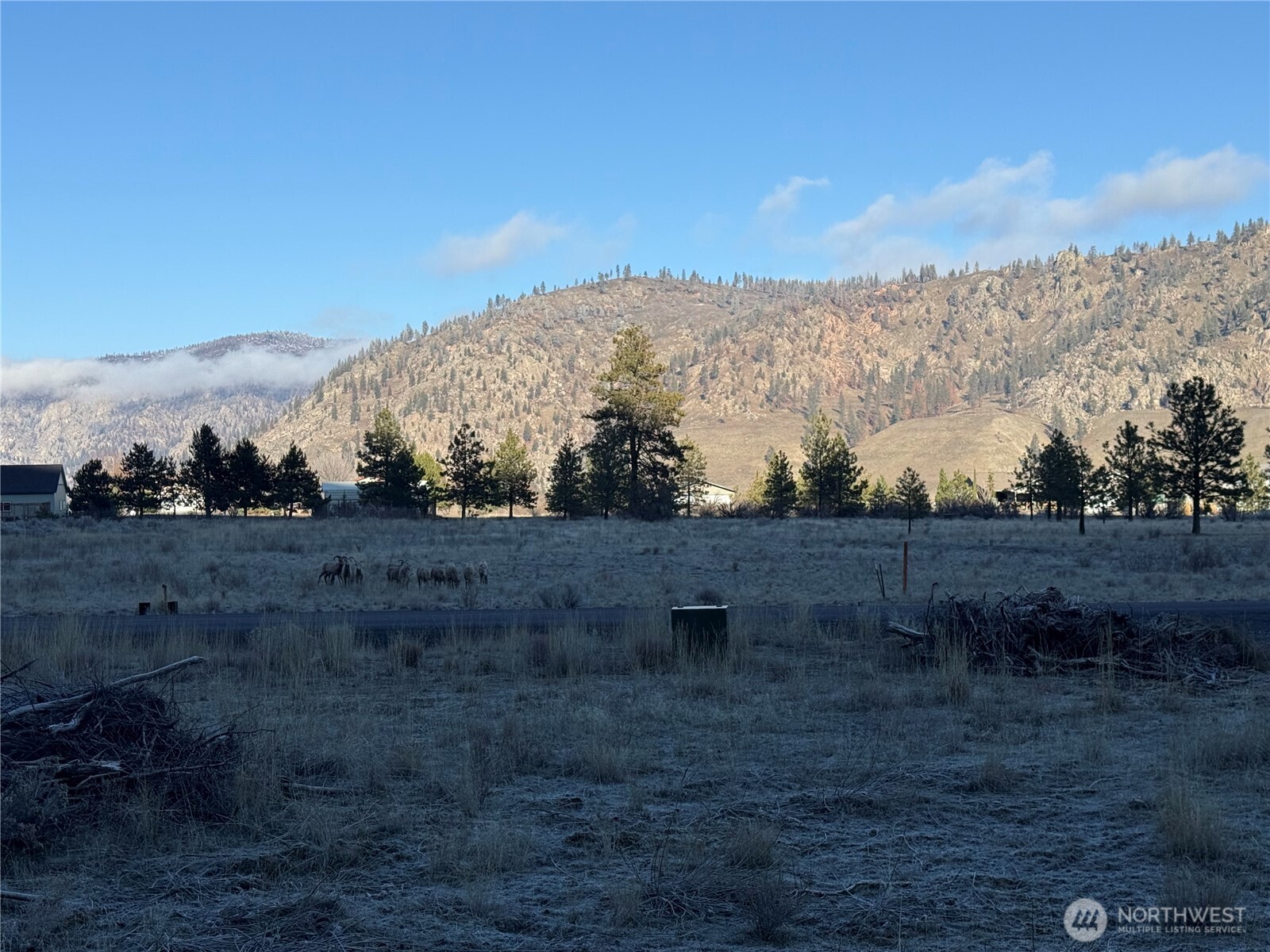 99147 Sterling Valley Road North Lincoln, WA 99147 - Photo 8 of 8