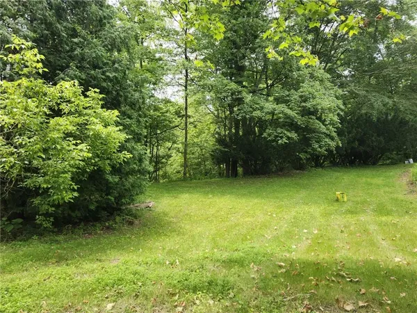 a view of a yard