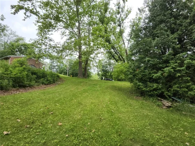 a view of a yard with a trees