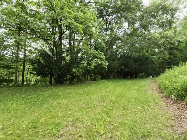 a view of a field of grass and trees