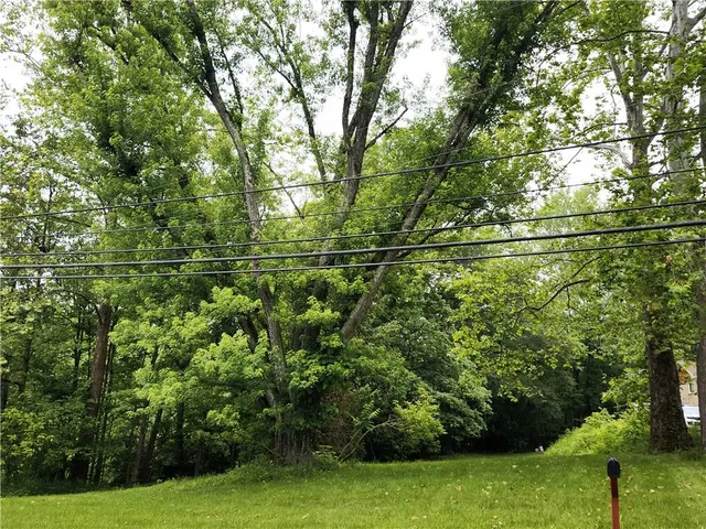 a view of a yard with a tree