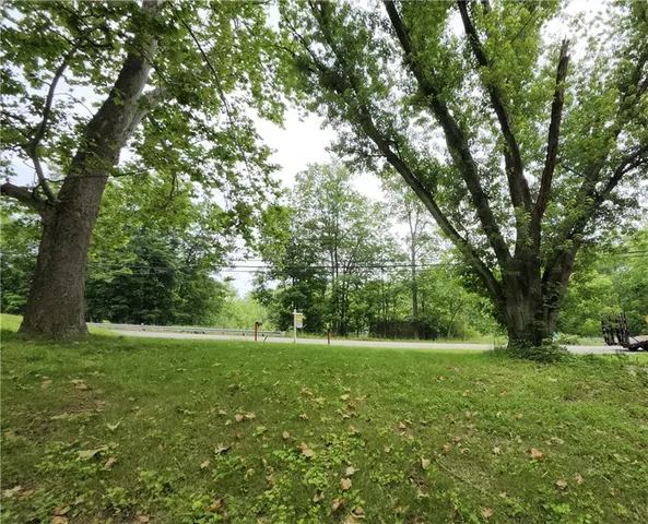 a view of green field with trees in the background