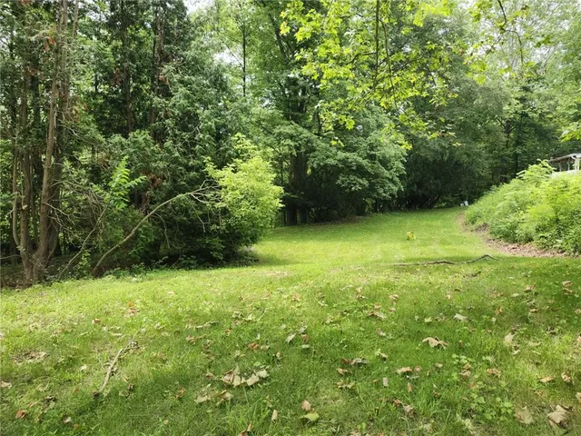 a view of an outdoor space and a yard