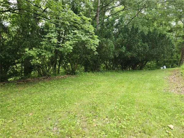 a view of a green yard