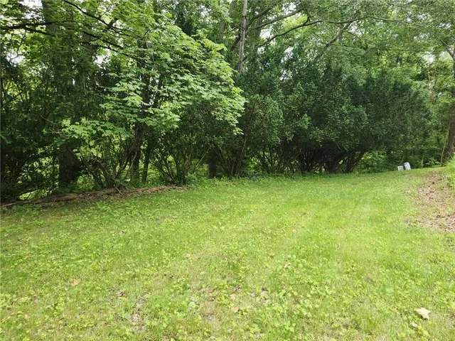 a view of a green yard