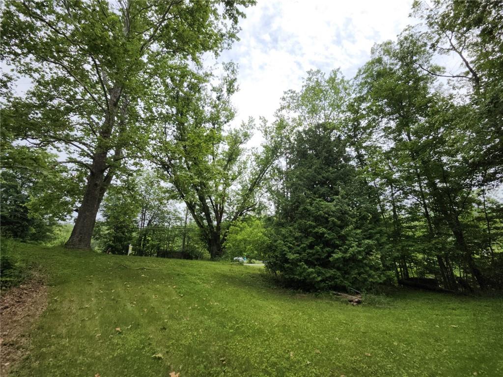 130 Keystone Road Herminie, PA 15637 - Photo 8 of 13 a view of a trees with a yard
