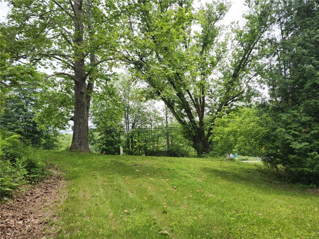 130 Keystone Road Herminie, PA 15637 - Photo 9 of 13 a big yard with lots of green space and trees