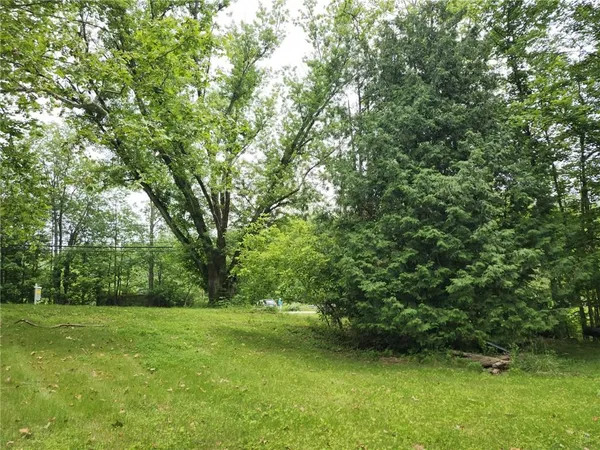 a view of a trees with a yard