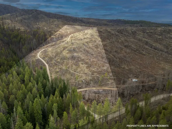 $260,000 | Lot 7 Rail Canyon Road, Tumtum, WA 99034