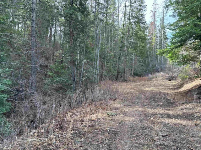 $260,000 | Lot 7 Rail Canyon Road, Tumtum, WA 99034