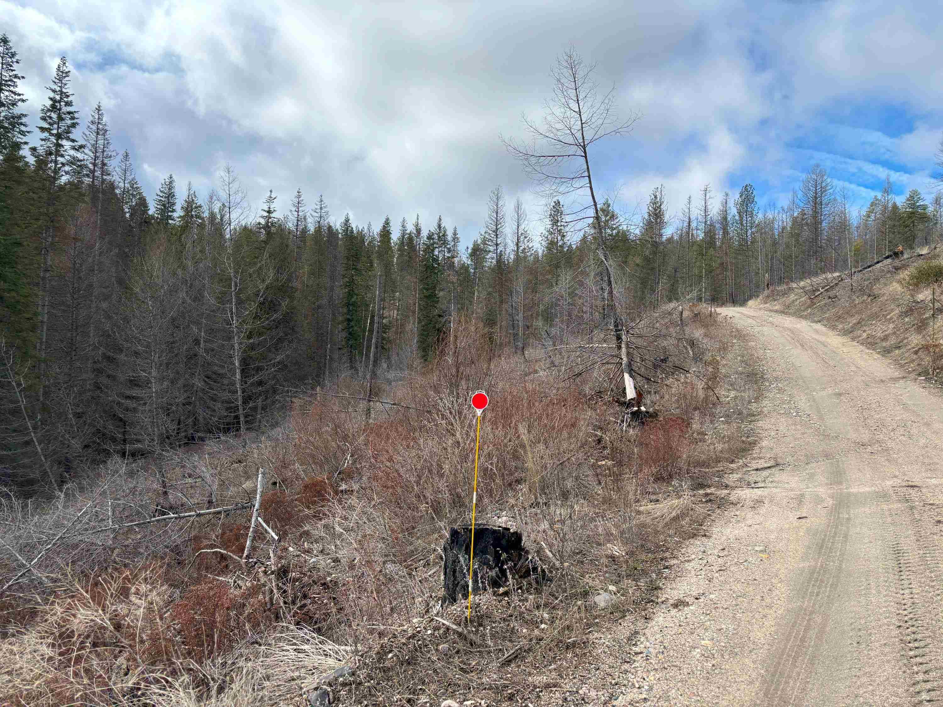 Lot 7 Rail Canyon Road Tumtum, WA 99034 - Photo 12 of 24