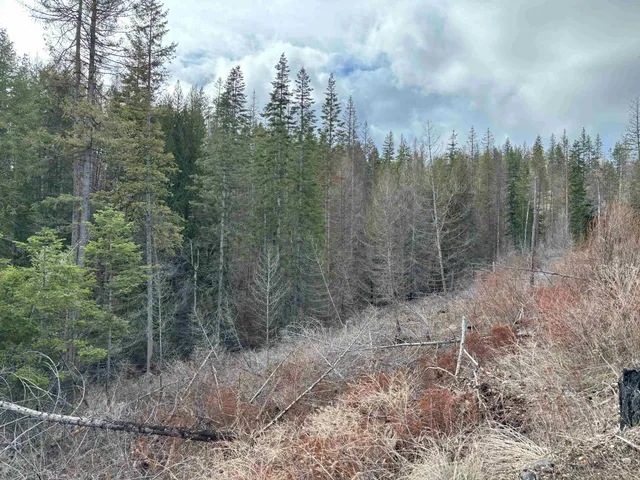 $260,000 | Lot 7 Rail Canyon Road, Tumtum, WA 99034
