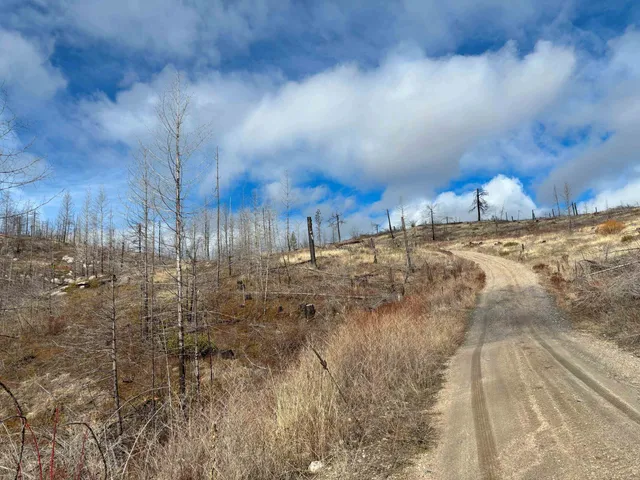 $260,000 | Lot 7 Rail Canyon Road, Tumtum, WA 99034