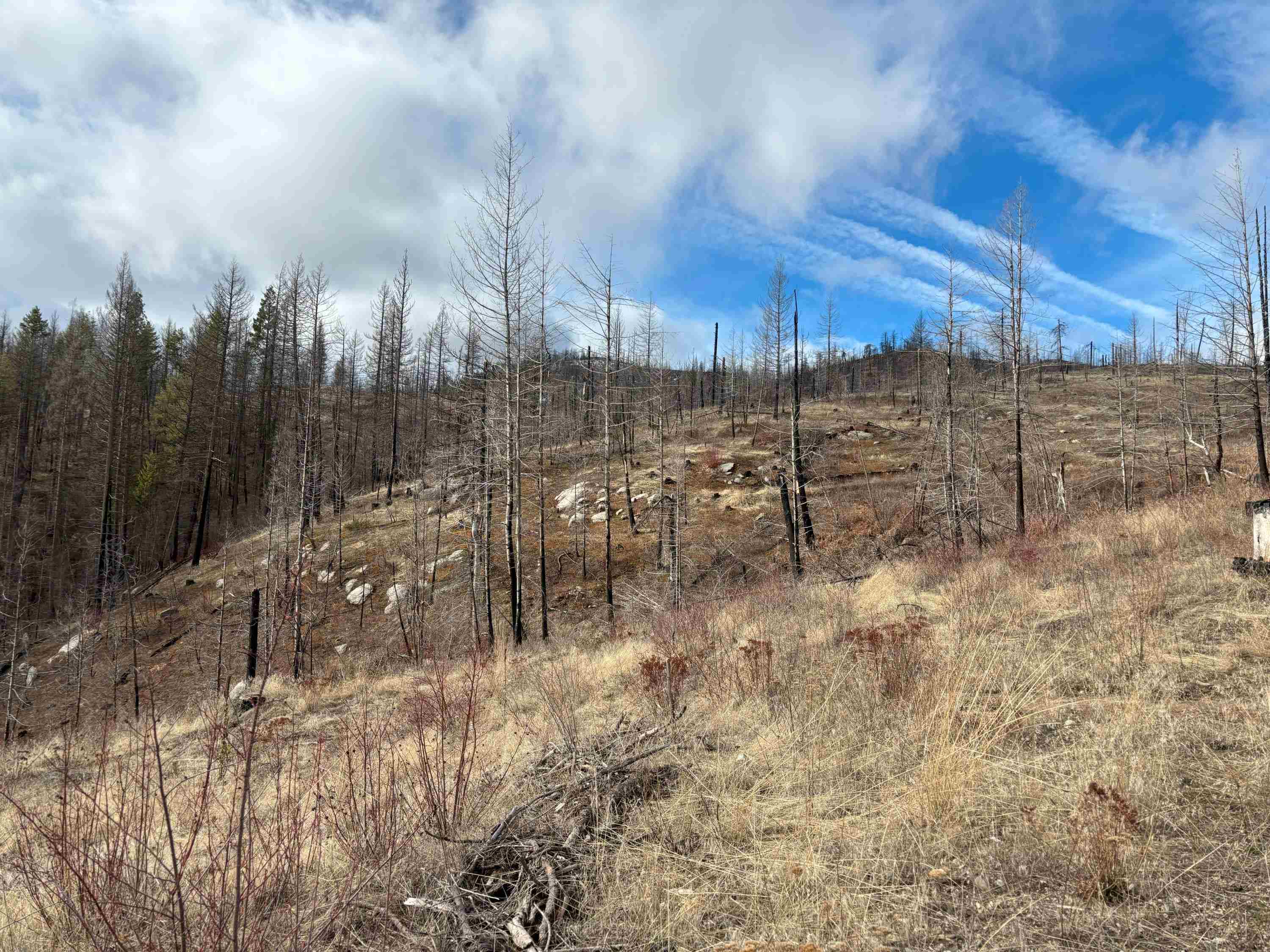 Lot 7 Rail Canyon Road Tumtum, WA 99034 - Photo 17 of 24